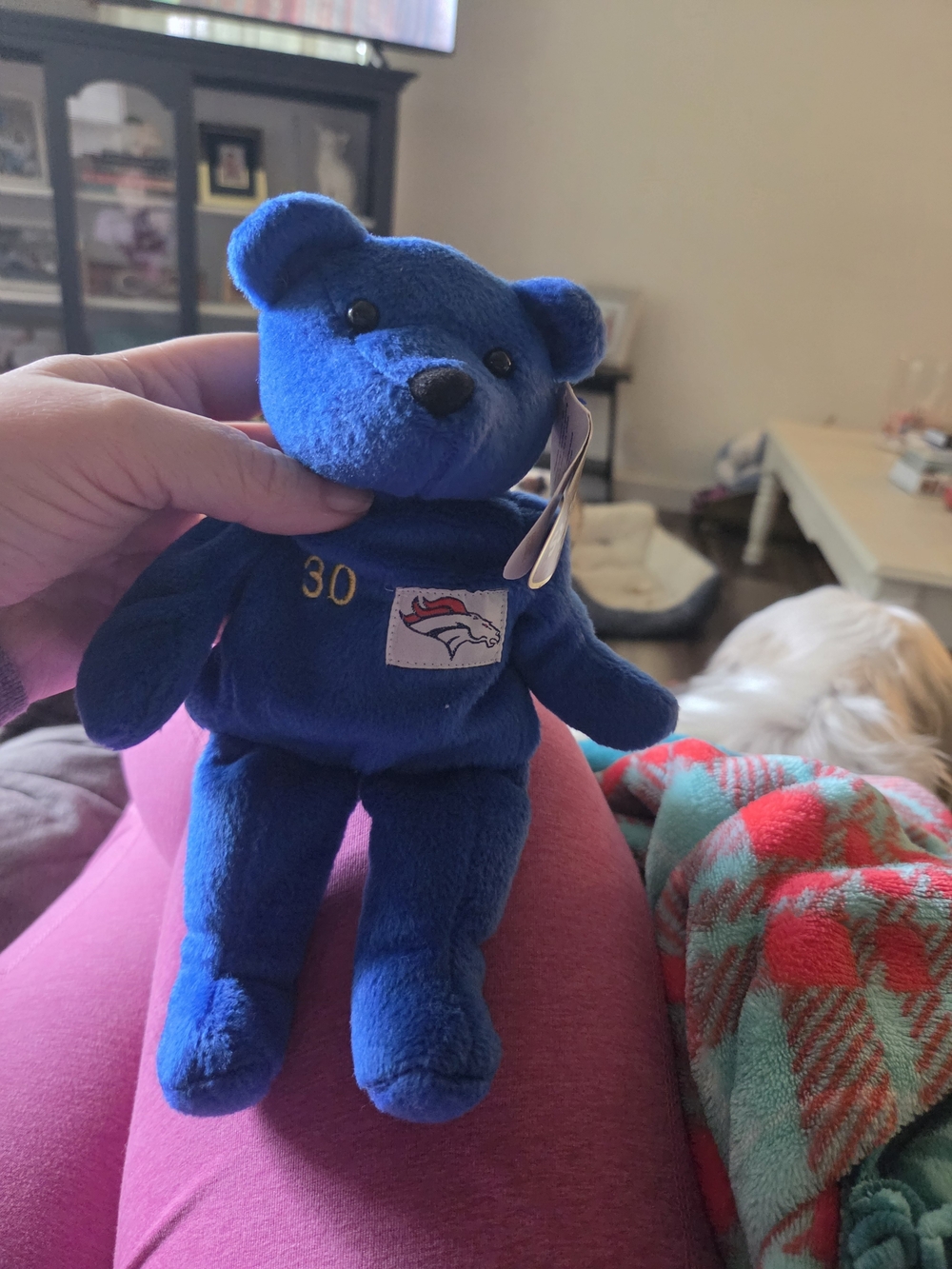 Salvino's Bammers Blue Beanie Bear Denver Broncos #30 Davis